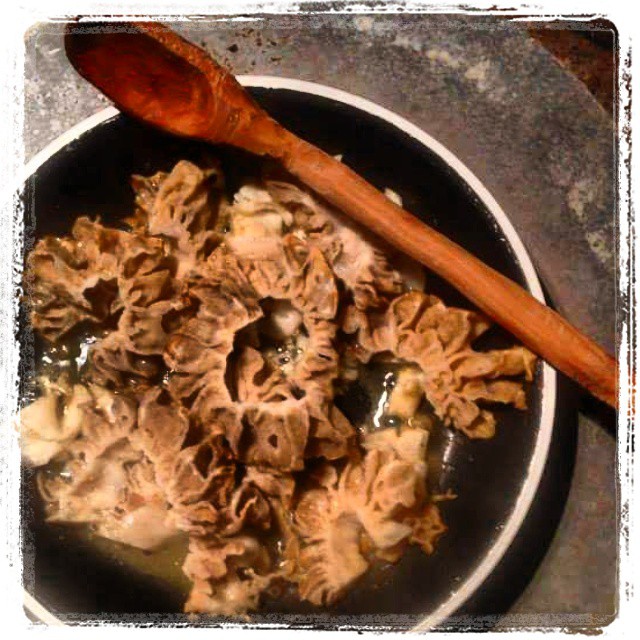 Morels in frying pan